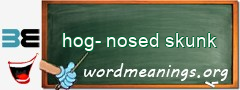 WordMeaning blackboard for hog-nosed skunk